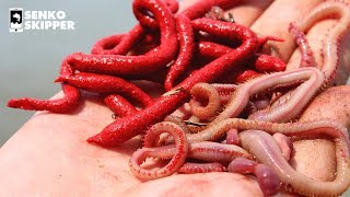 SAVE YOUR MONEY Artificial Gulp Worms VS LIVE Bloodworms [upl. by Esinned]