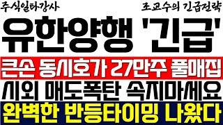 유한양행 주가 조교수 큰손 동시호가 27만주 풀매집 시간외 매도폭탄 절대 속지마세요 완벽한 반등타이밍 나왔습니다 [upl. by Eselehs]