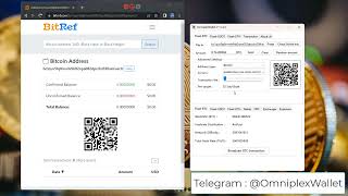 Bitcoin Flash Generator Tool 2024  Create Fake BTC Transaction Safely [upl. by Eph818]