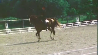 PLR  Patrick LE ROLLAND cavalier de Dressage en selle sur Débarras  1978 [upl. by Aruat]