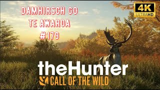 TheHunter CotW Der Weg zum Damhirsch Great One 179 [upl. by Tedric721]