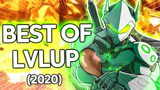 LevelUpLiftings BEST OF 2020 [upl. by Bogusz]