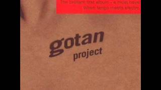 3 Chungas revenge  Gotan Project [upl. by Botnick]