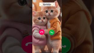 Cute baby ringtone 😍 💯  Love ringtone 🔥💯  Today is best ringtone ❤️  new ringtone 💯🔥 [upl. by Dammahom378]