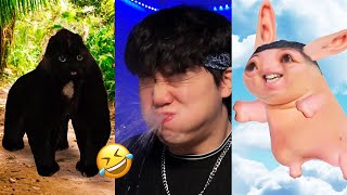 BEST JeffreyX Funny Try Not To Laugh Challenge Compilation 🤣 2024 Part 10 [upl. by Elconin]