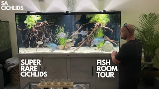 I VISIT SA CICHLIDS SUPER RARE CICHLID COLLECTION DISPLAY TANK AND FISH ROOM TOUR [upl. by Eednyl389]