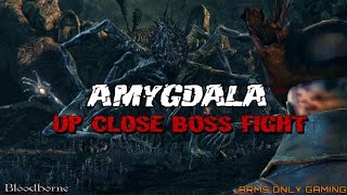 AMYGDALA  UP CLOSE BOSS  Bloodborne 2024 new [upl. by Colpin]