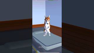 DOG GONE shorts sakuraschoolsimulator funny sss memes anime cartoon gaming sakura trending [upl. by Ikoek]