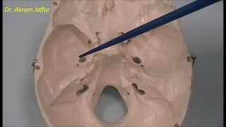 Osteology of the skull 6 cranial cavity [upl. by Otanod]