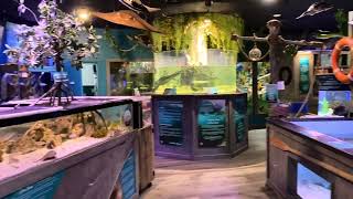 A quick tour through Mertailor’s Mermaid Aquarium Encounter [upl. by Joanna]