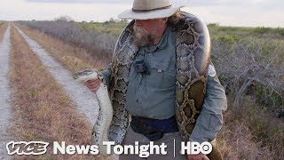 The Bounty Hunters Catching Pythons In Florida HBO [upl. by Adaline]