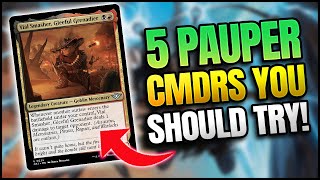 Pauper EDH My Top 5 OTJ Cmdrs  PDH  Pauper Commander [upl. by Cacilie977]