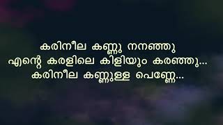 Karineela Kannulla Penne കരിനീലക്കണ്ണുള്ള പണ്ണ്  Song With Lyrics  Melodious Songs [upl. by Kaslik60]