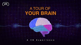 A Peak Inside Your Brain  VR Lesson [upl. by Ais]