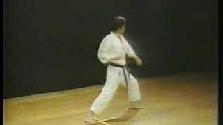 Heian Shodan  Shotokan Karate [upl. by Coit]