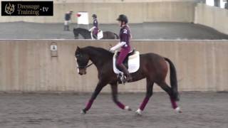 Relaxation v Tone in Riding amp Dressage Training [upl. by Ztirf]