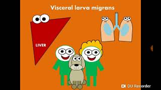 Visceral Larva Migrans Toxocara canis amp Toxocara cati اليرقات الحشوية المهاجرة [upl. by Netsrik]