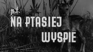 Na ptasiej wyspie [upl. by Enaud]