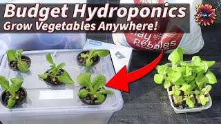 Make A Mini Hydroponics System On A Budget  Grow Perfect Plants EVERY Time [upl. by Ardnekal49]