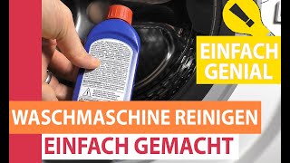 Waschmaschine reinigen  Komplette Waschmaschine mit Schublade amp Türdichtung sauber machen [upl. by Oringas305]