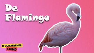 Schlieremer Chind  De Flamingo  Mir gönd in Zoo [upl. by Airdnahc]