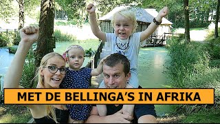 UITGENODIGD DOOR HET AFRIKA MUSEUM  Bellinga Vlog 376 [upl. by Nainatrad]