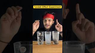 Tyndall Effect Experiment Scattering of Light 🔦Experiment class10scienceshortsexperiment [upl. by Ahseele]