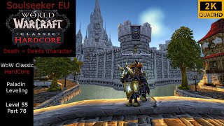 WoW Classic Hardcore  Soulseeker EU Paladin Leveling  Level 55 Part 78  No Commentary 2K [upl. by Atsev]