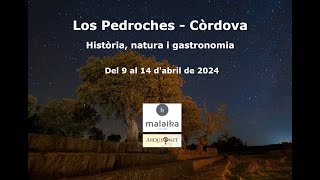 Los Pedroches  Còrdova Història natura i gastronomia [upl. by Ueihttam]