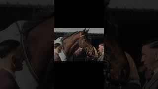 Phar Lap edit legend besthorse pharlap [upl. by Aetnuahs793]