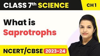 What is Saprotrophs  Nutrition in Plants  Class 7 Science Chapter 1 202223 [upl. by Imailiv]