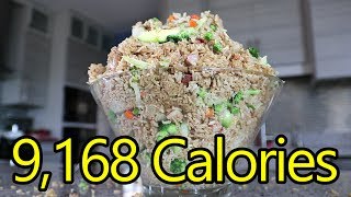 125lb Fried Rice Challenge [upl. by Lednar]