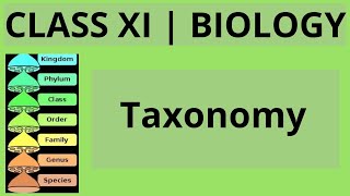 Taxonomy  Diversity in living world  class 11th biology [upl. by Tiersten]