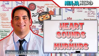 Heart Sounds amp Murmurs  Clinical Medicine [upl. by Max914]