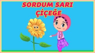 Sordum Sarı Çiçeğe  Sordum Sarı Çiçeğe İlahisi  Harika Çocuk ilahileri  çocuk ilahisi Didiyom Tv [upl. by Minette421]