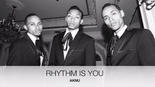 AKNU  Rhythm is You Lyric Video [upl. by Afatsom405]