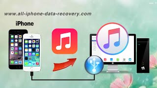 How to Transfer Music from Flash Drive to iTunes Import Songs from Flash Drive to iTunes [upl. by Sisto127]