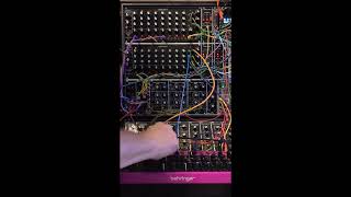 Behringer EDGE modulated by 960 sequencer into system 55 modular [upl. by Sosthenna]