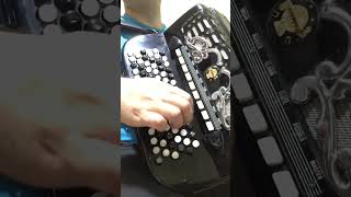 Ulica radja grešnike  Srećko Šušić foršpil JV cover accordion accordionmusic [upl. by Mallis]