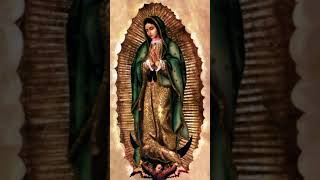 Maria madre de Jesus y madre nuestra elevacióndelevangelio [upl. by Fenny784]