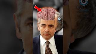 MR BEAN CÓ THỰC SỰ NGỐC  😨 Bạn Biết Không facts amzingfacts thaukinhtrithuc [upl. by Flaherty]