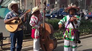 Grupo Huichol formado por Wixárikas de Nayar Nayarit  Ciudad de México [upl. by Ulysses]