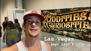 Oddities and Curiosities Las Vegas expo sept 14 amp 15th  Walk through this spooky event [upl. by Ecinue]