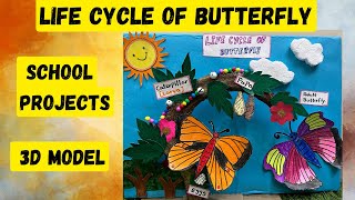 Life Cycle Of A Butterfly 3D Model  life cycle of butterfly model project biologyproject [upl. by Chrotoem203]