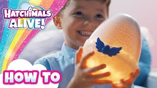 Who Will You Hatch  Hatchimals Alive Mystery Hatch  How To Video [upl. by Lundquist889]