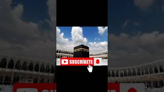 subscribe voiceofkashmir kashmir quran shortvideo [upl. by Anyk109]