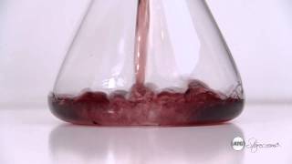 Blomus Wine Decanter [upl. by Quillan]