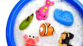 Learn Sea Animal and Zoo Animals Names Education Shark Video Toys For Kids [upl. by Ayet]