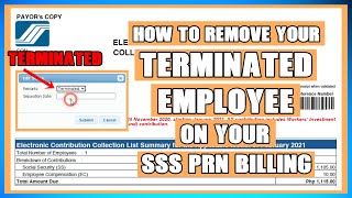 HOW TO REMOVE YOUR TERMINATED EMPLOYEE ON YOUR SSS PRN BILLING EMPLOYER [upl. by Hefter]