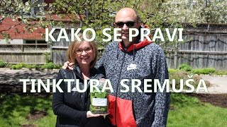 Kako se pravi tinktura sremuša i namjene Vedran i Mira Hasanagić doktori alternativne medicine [upl. by Ylrebmik]